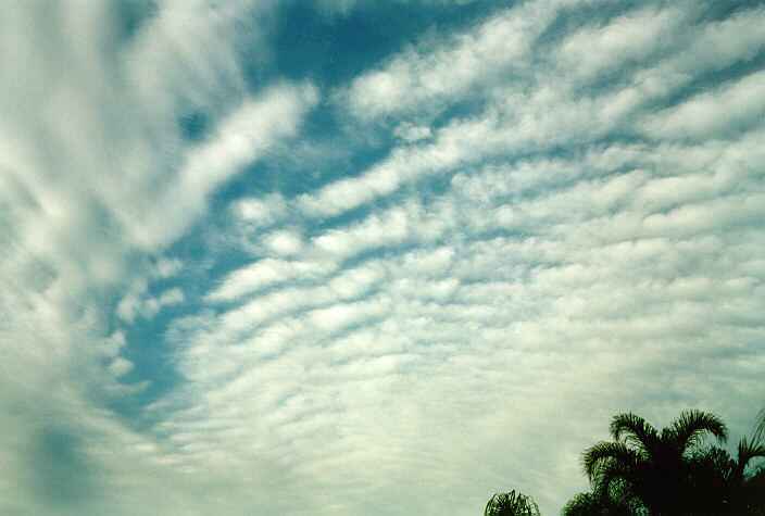 favourites michael_bath : Oakhurst, NSW   8 May 1998