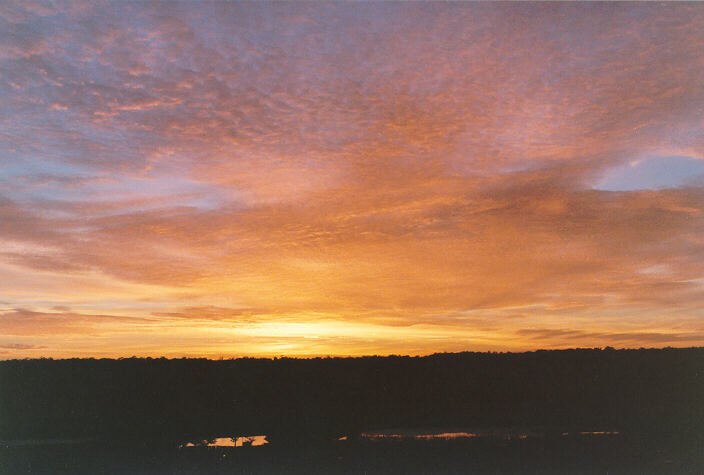 favourites jimmy_deguara : Schofields, NSW   13 June 1998