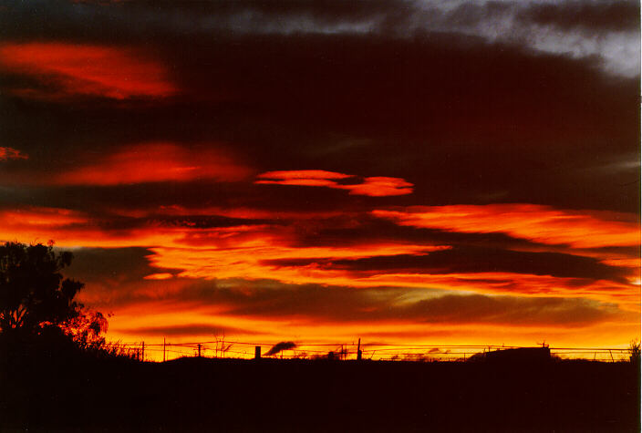 favourites jimmy_deguara : Schofields, NSW   25 June 1998