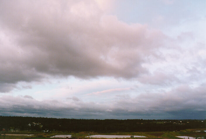 stratus stratus_cloud : Schofields, NSW   8 August 1998