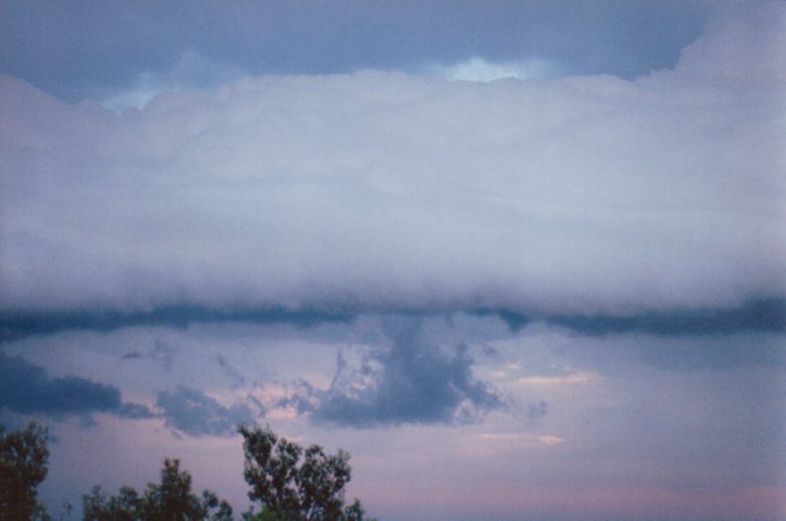 contributions received : Ballina, NSW<BR>Photo by John Graham   16 September 1998