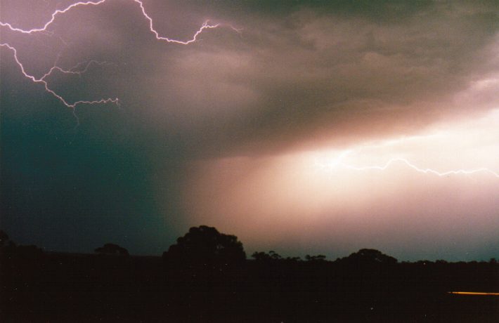 contributions received : Murtoa, VIC<BR>Photo by Paul Yole   1 October 1998