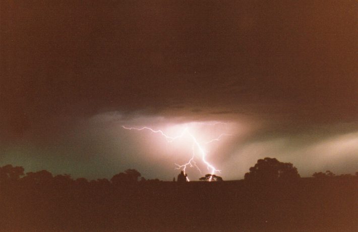 contributions received : Murtoa, VIC<BR>Photo by Paul Yole   1 October 1998