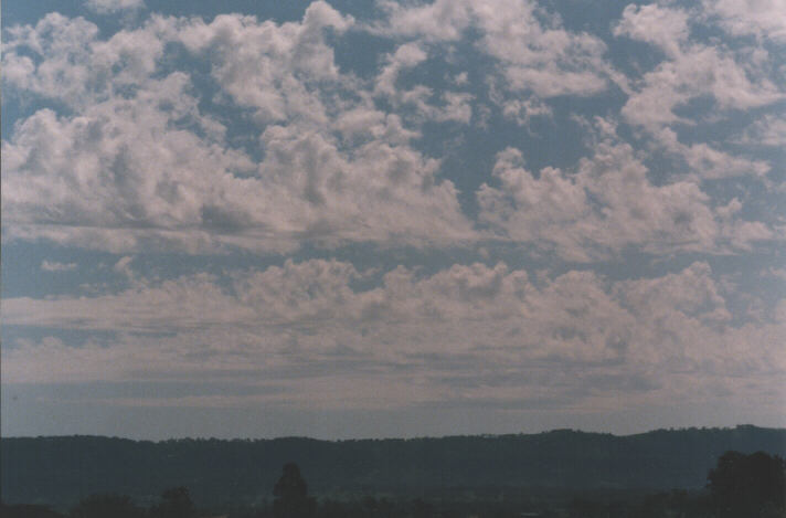 altocumulus castellanus : Scone area, NSW   4 October 1998