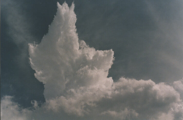 updraft thunderstorm_updrafts : Tenterfield, NSW   5 October 1998