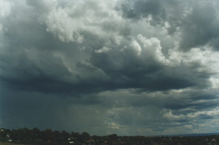 cumulus congestus : Rooty Hill, NSW   26 October 1998