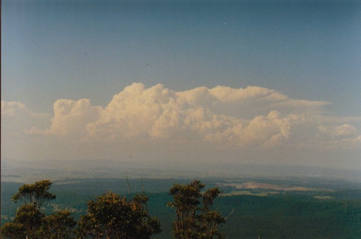 thunderstorm cumulonimbus_incus : Mt Sugarloaf, NSW   7 November 1998