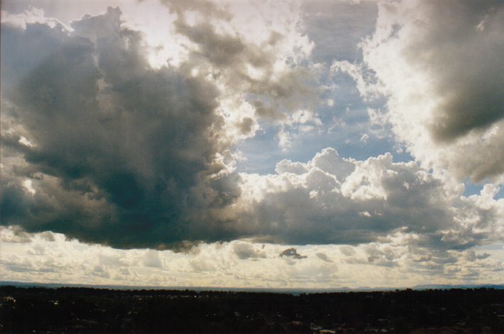 cumulus mediocris : Rooty Hill, NSW   13 November 1998