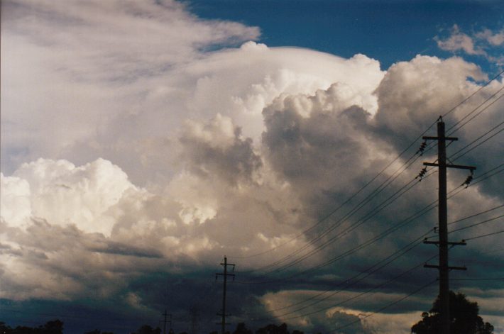 thunderstorm cumulonimbus_calvus : Cecil Park, NSW   13 November 1998