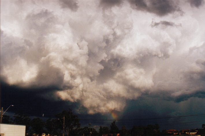 wallcloud thunderstorm_wall_cloud : The Cross Roads, NSW   13 November 1998