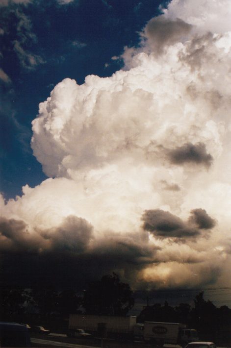 thunderstorm cumulonimbus_incus : The Cross Roads, NSW   13 November 1998