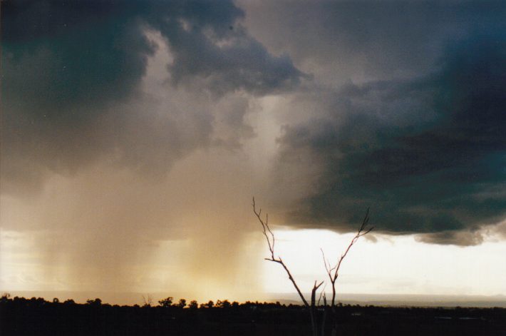 cumulonimbus thunderstorm_base : Horsley Park, NSW   13 November 1998