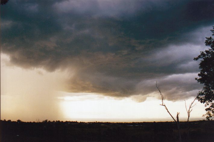 cumulonimbus thunderstorm_base : Horsley Park, NSW   13 November 1998