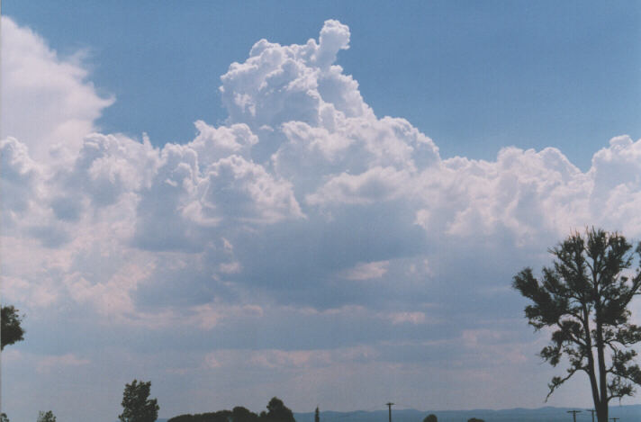 thunderstorm cumulonimbus_calvus : Luddenham, NSW   12 December 1998