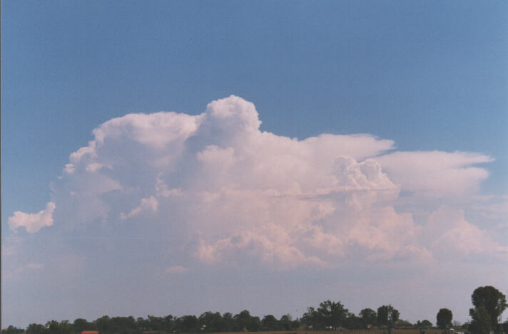 thunderstorm cumulonimbus_incus : Luddenham, NSW   12 December 1998