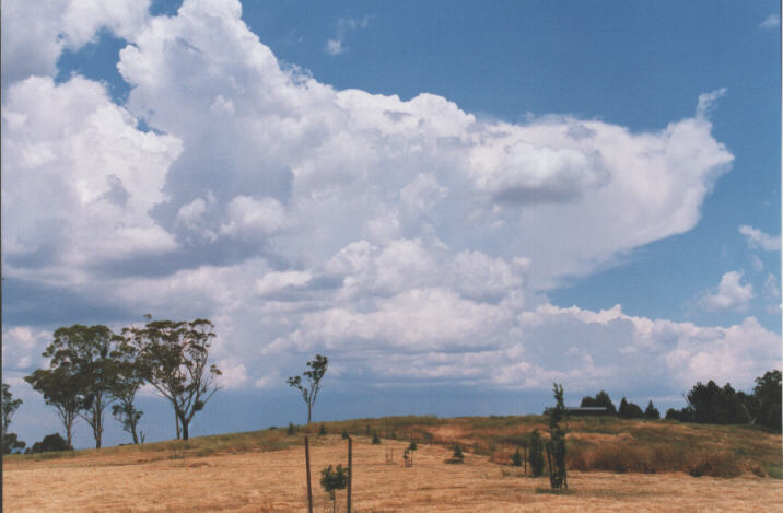 thunderstorm cumulonimbus_incus : Lithgow, NSW   13 December 1998