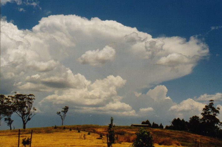 thunderstorm cumulonimbus_incus : Lithgow, NSW   13 December 1998