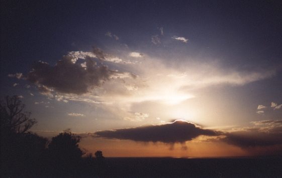 contributions received : Boronia, VIC<BR>Photo by David Jeffrey   24 December 1998