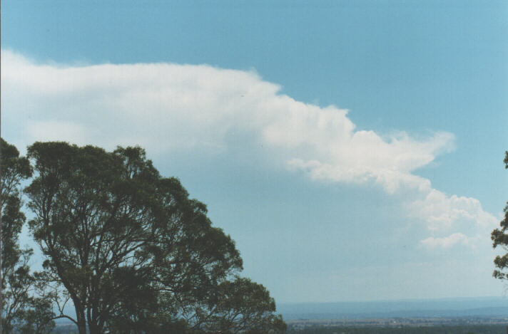 thunderstorm cumulonimbus_incus : Kemps Creek, NSW   19 January 1999