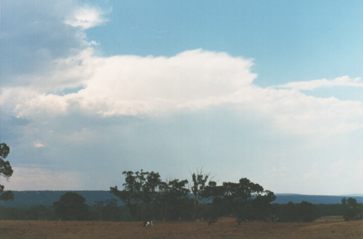 thunderstorm cumulonimbus_incus : Kemps Creek, NSW   19 January 1999