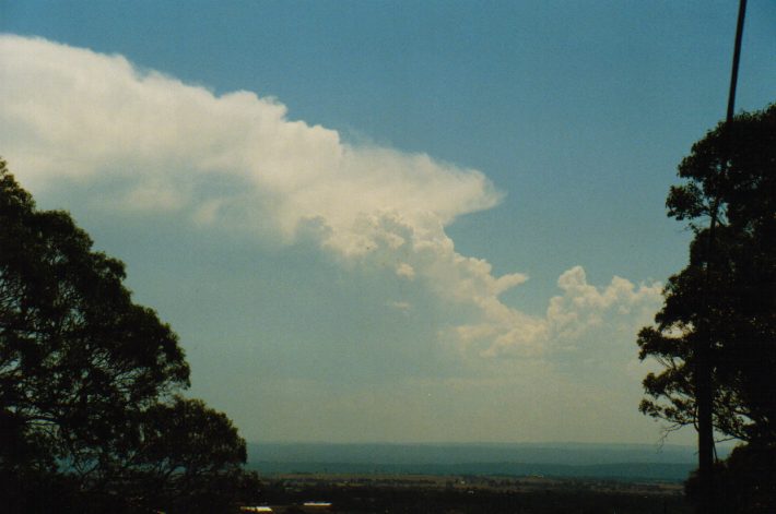 thunderstorm cumulonimbus_incus : Kemps Creek, NSW   19 January 1999