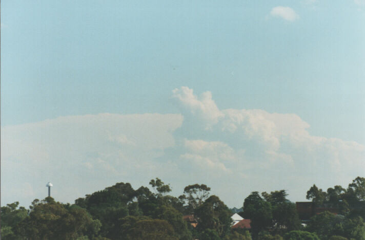 thunderstorm cumulonimbus_calvus : Rooty Hill, NSW   29 January 1999