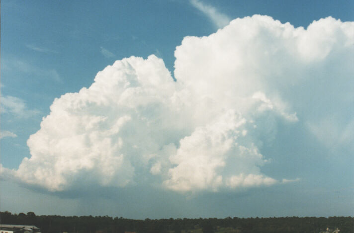 updraft thunderstorm_updrafts : Schofields, NSW   29 January 1999