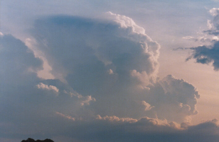 cirrus cirrus_cloud : Schofields, NSW   29 January 1999