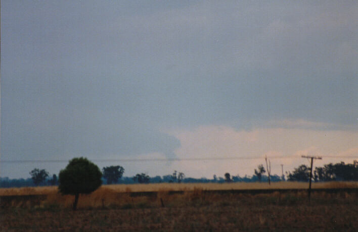 cumulonimbus thunderstorm_base : Breeza Plains, NSW   30 January 1999