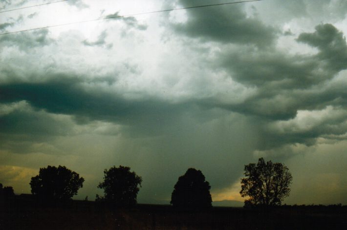 cumulonimbus thunderstorm_base : Curlewis, NSW   30 January 1999