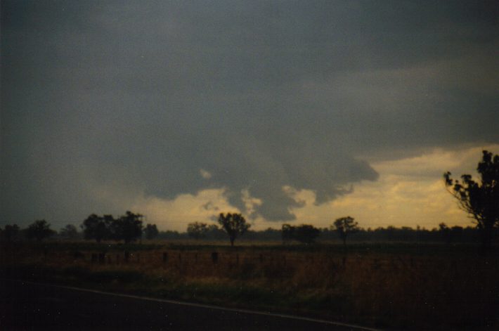 wallcloud thunderstorm_wall_cloud : NW of Gunnedah, NSW   30 January 1999