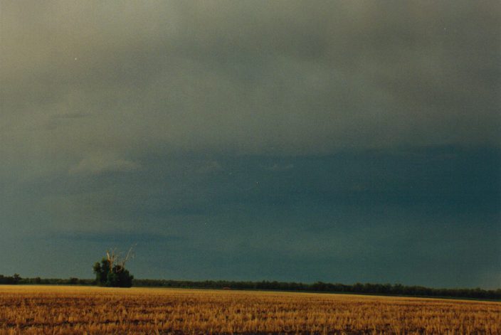 cumulonimbus thunderstorm_base : W of Moree, NSW   30 January 1999