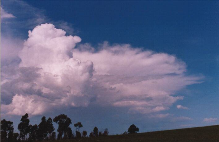 thunderstorm cumulonimbus_incus : Rooty Hill, NSW   4 March 1999