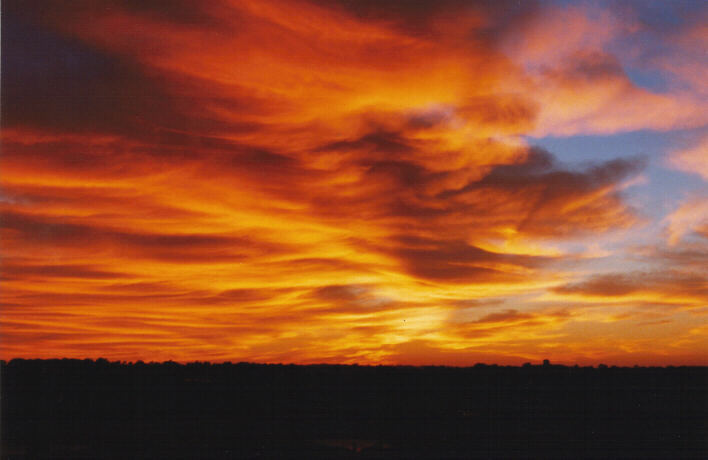 favourites jimmy_deguara : Schofields, NSW   5 March 1999