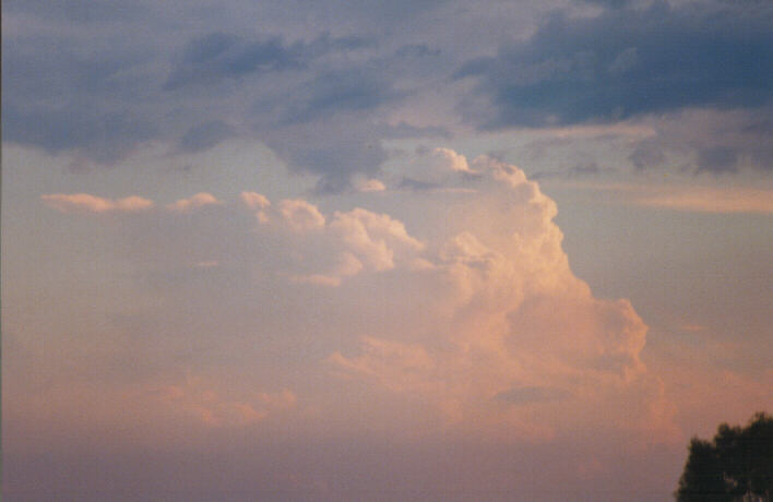 thunderstorm cumulonimbus_calvus : Riverstone, NSW   12 March 1999