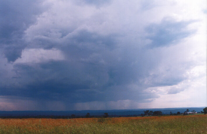 cumulonimbus thunderstorm_base : Luddenham, NSW   13 March 1999