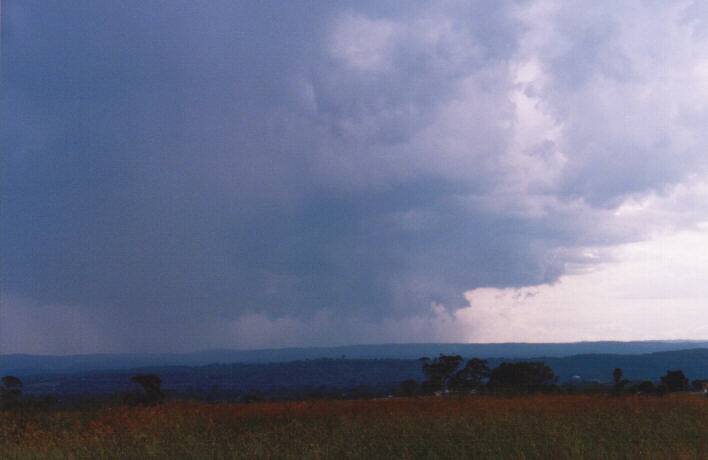 microburst micro_burst : Luddenham, NSW   13 March 1999