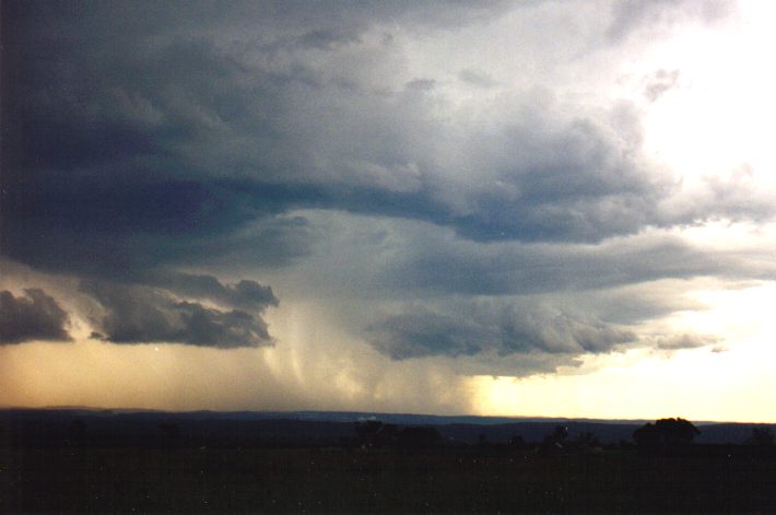 cumulonimbus thunderstorm_base : Luddenham, NSW   13 March 1999