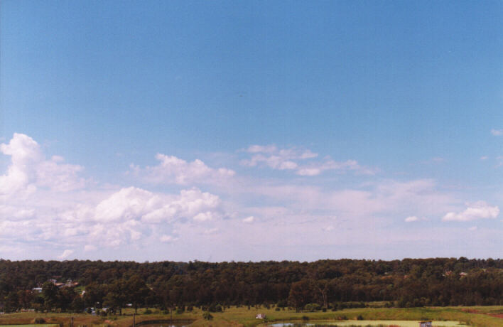 cumulus mediocris : Schofields, NSW   14 March 1999