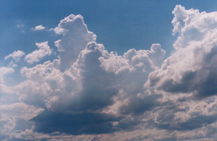 cumulus mediocris : Schofields, NSW   14 March 1999