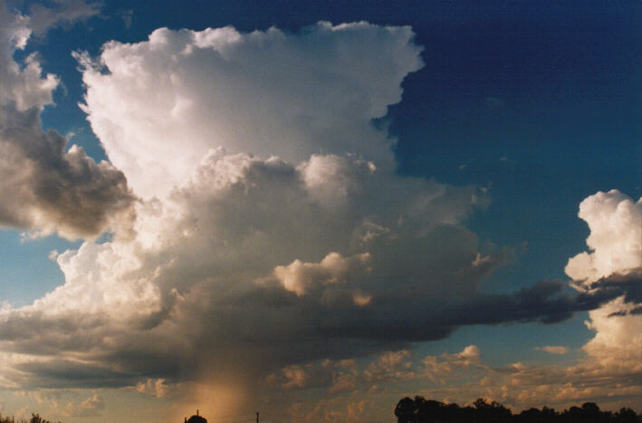 updraft thunderstorm_updrafts : Schofields, NSW   14 March 1999