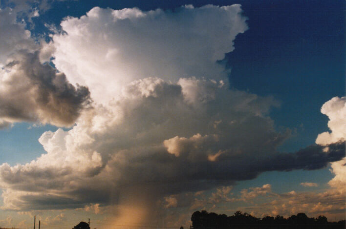 updraft thunderstorm_updrafts : Schofields, NSW   14 March 1999