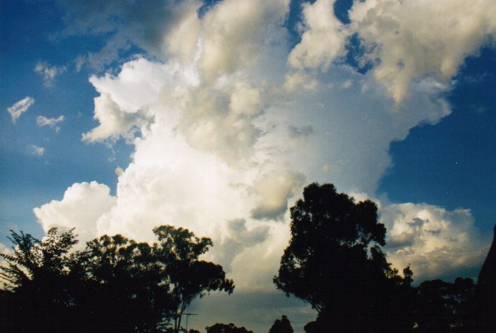 cumulus mediocris : Oakhurst, NSW   14 March 1999