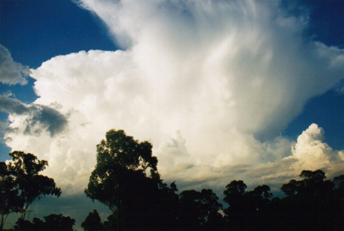 thunderstorm cumulonimbus_incus : Oakhurst, NSW   14 March 1999