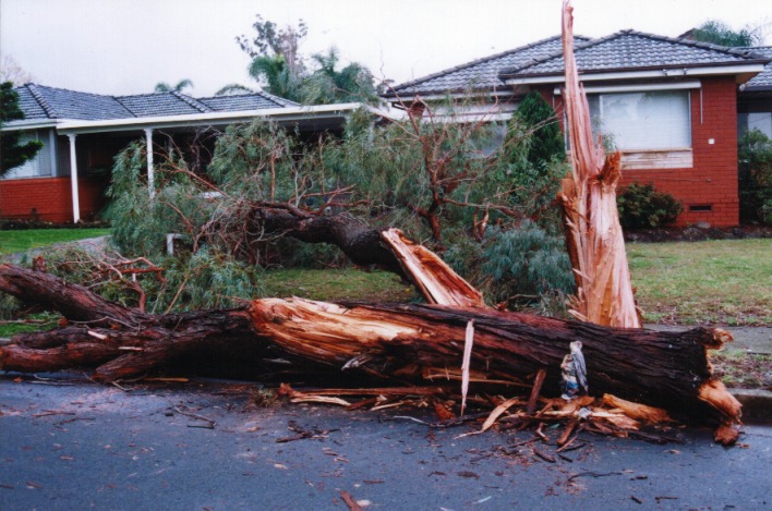 disasters storm_damage : Fairfield West, NSW   29 August 1999