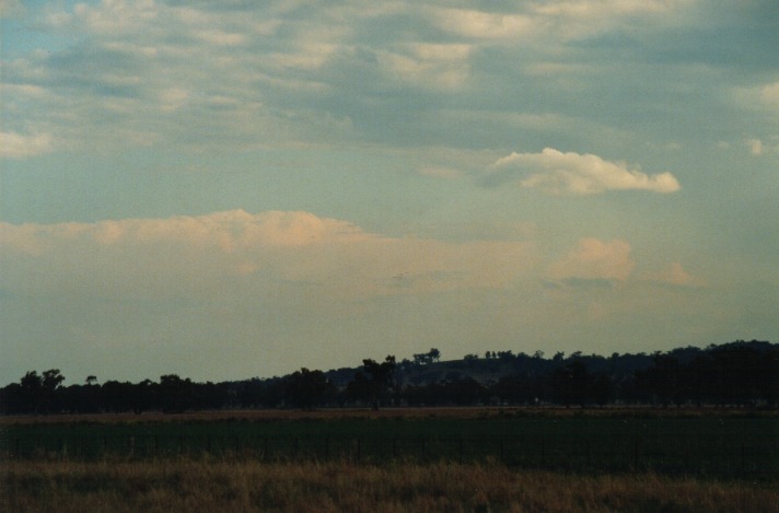 altocumulus altocumulus_cloud : Breeza Plains, NSW   25 September 1999