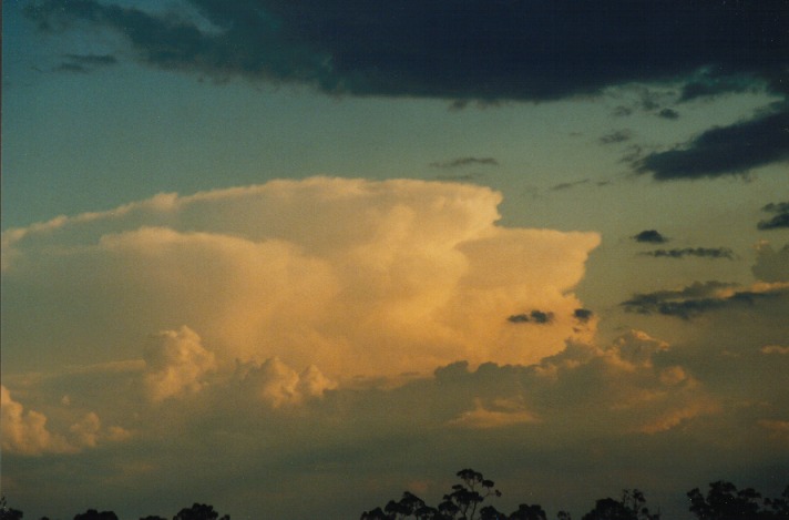 thunderstorm cumulonimbus_incus : Breeza Plains, NSW   25 September 1999