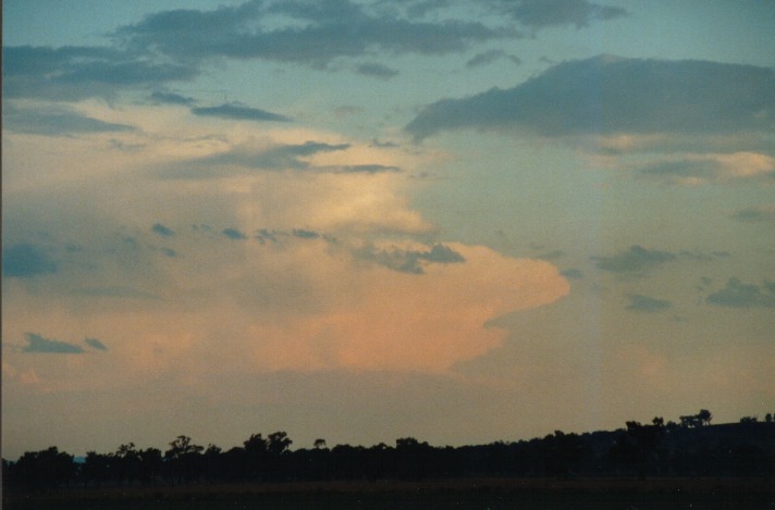 thunderstorm cumulonimbus_incus : Breeza Plains, NSW   25 September 1999