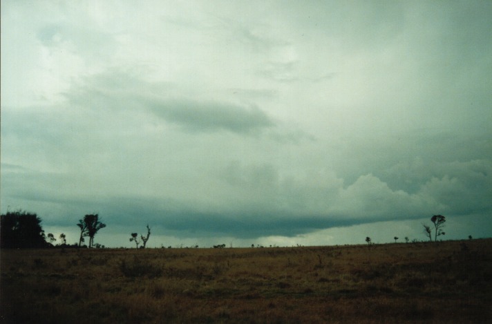 cumulonimbus thunderstorm_base : Bendemeer, NSW   26 September 1999