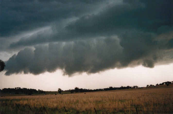 cumulonimbus thunderstorm_base : Tamworth, NSW   26 September 1999